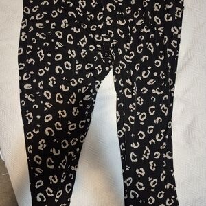 Torrid Studio Knit Tapered Pant Size 2